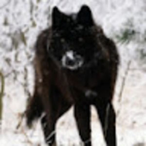 Meet your Posher, Mara